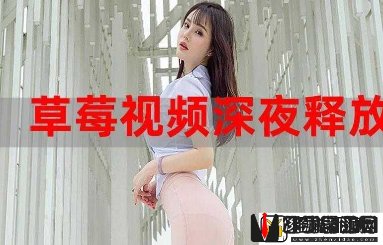 深夜草莓视频-APP：畅享精彩视频时光