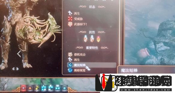 博德之门3魔法短棒获取方法介绍