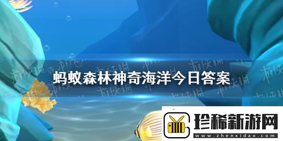 人们熟悉的寄居蟹属于以下哪种分类
