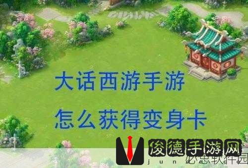 大话西游手游变身卡优选指南，资深主编推荐分析