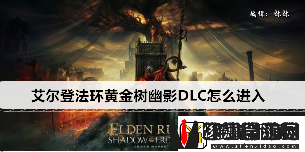 艾尔登法环黄金树幽影DLC怎么进入