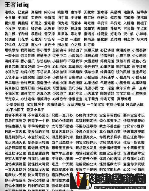 王者荣耀