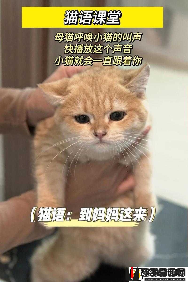 妈妈那好听的呼唤声真令人难忘呀